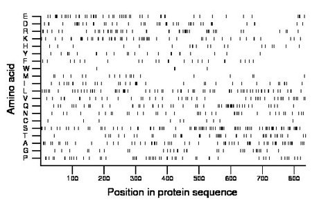 amino acid map