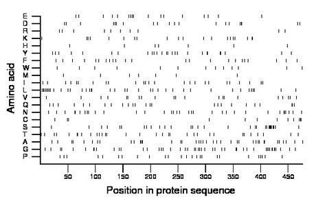 amino acid map