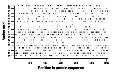 amino acid map