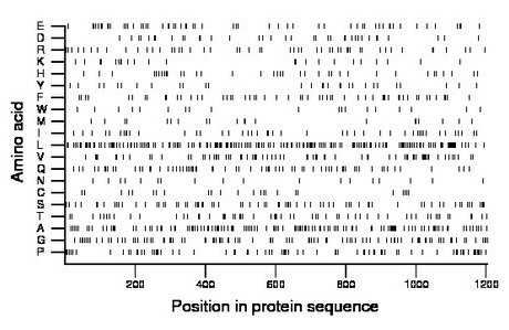 amino acid map