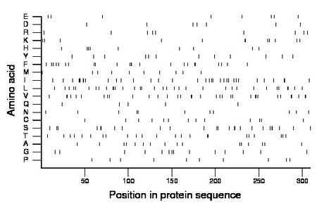 amino acid map