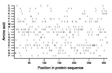 amino acid map