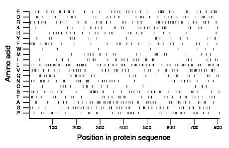 amino acid map