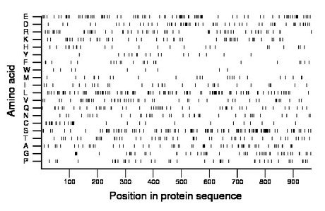 amino acid map