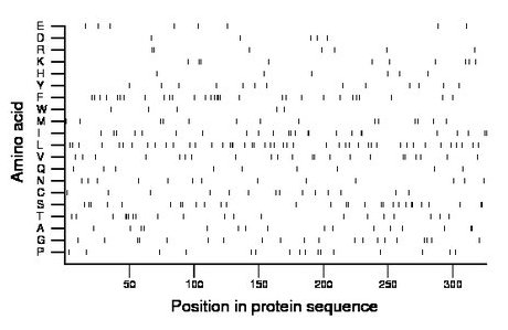 amino acid map