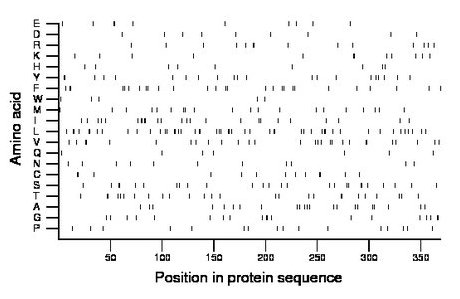 amino acid map