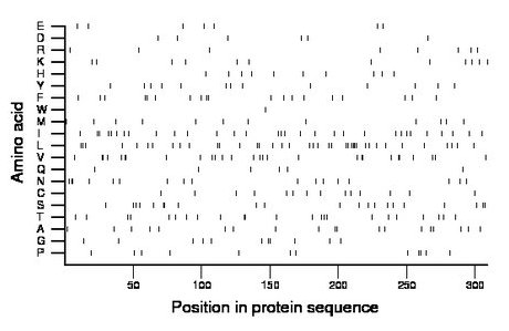 amino acid map