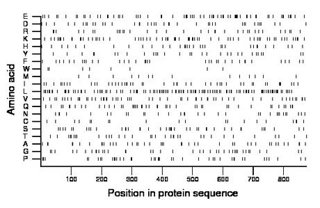 amino acid map