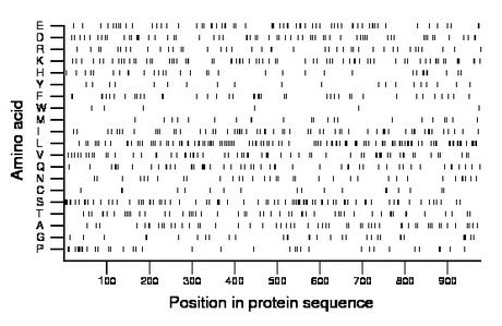 amino acid map