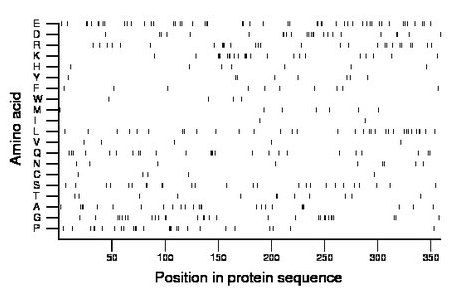 amino acid map