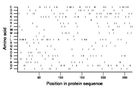 amino acid map