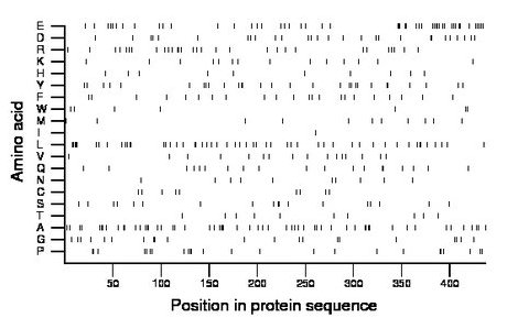 amino acid map