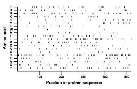 amino acid map