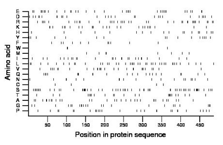 amino acid map