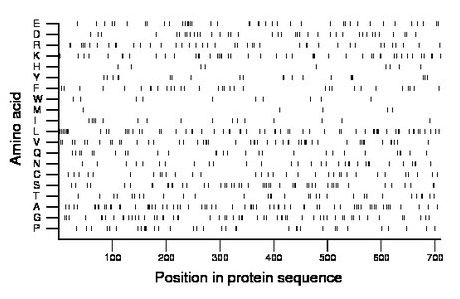 amino acid map