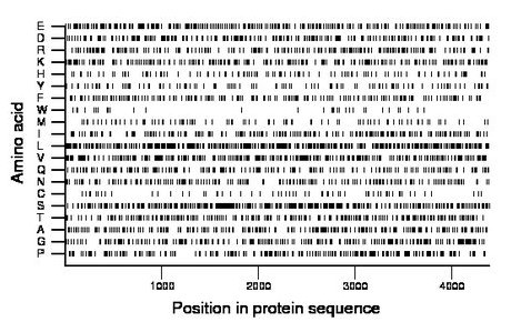 amino acid map