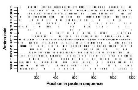 amino acid map