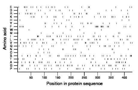 amino acid map