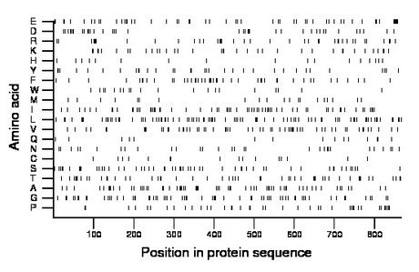 amino acid map