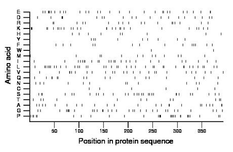 amino acid map