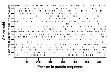 amino acid map