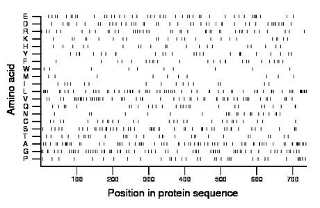 amino acid map