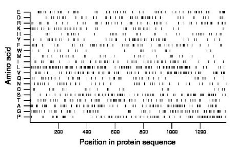 amino acid map