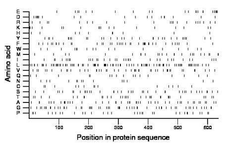 amino acid map