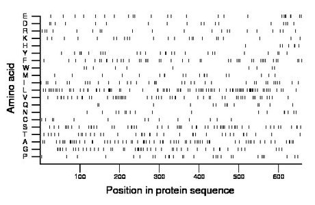 amino acid map