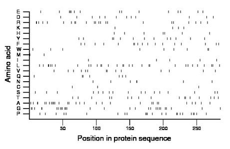 amino acid map