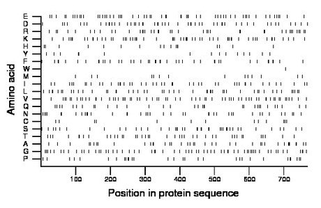 amino acid map