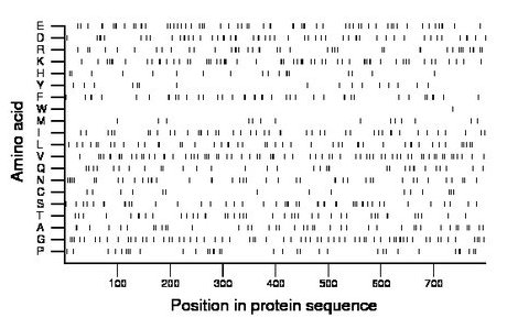 amino acid map