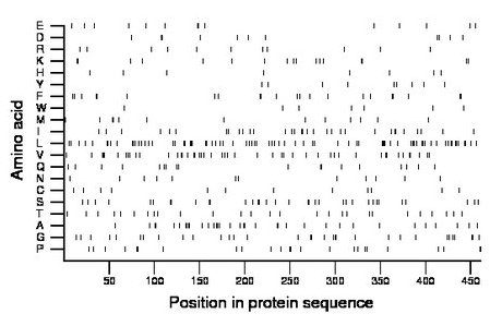 amino acid map