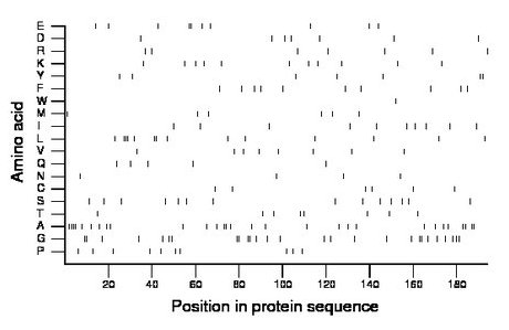 amino acid map