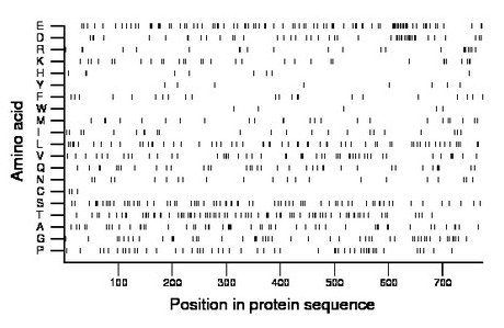 amino acid map