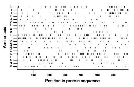 amino acid map