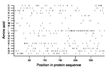 amino acid map