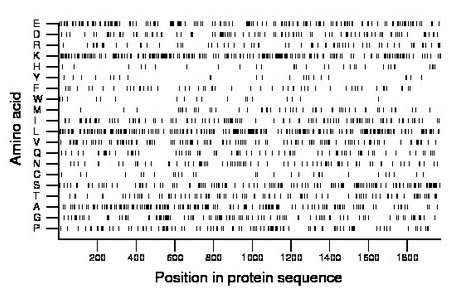 amino acid map