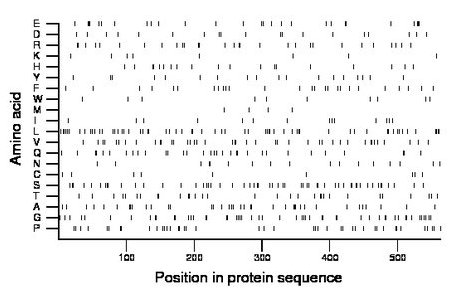 amino acid map