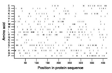 amino acid map