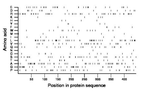 amino acid map