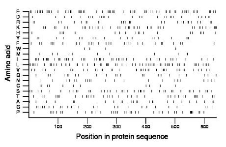 amino acid map