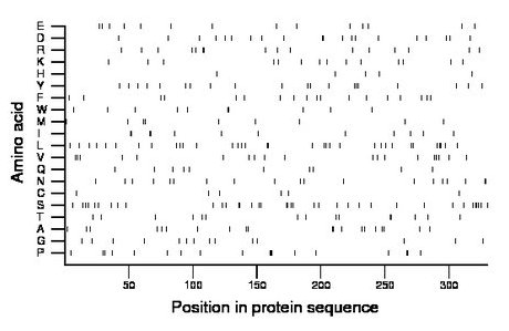 amino acid map