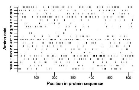 amino acid map