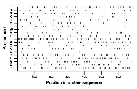 amino acid map