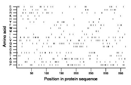 amino acid map