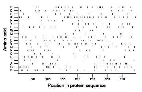 amino acid map