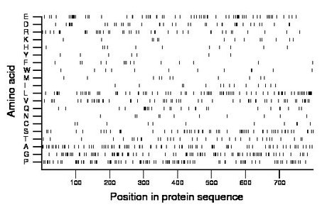 amino acid map