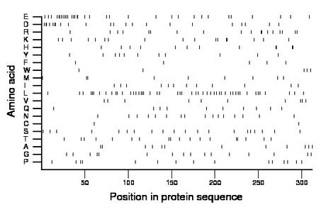 amino acid map