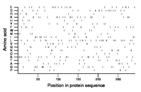 amino acid map